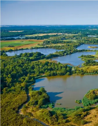  ??  ?? 5 321 plans d’eau sont recensés sur le territoire du Parc naturel de la Brenne. Parmi eux : 3 254 étangs.
