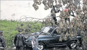  ?? PHOTO: RIJASOLO/AFP ?? Madagascar firefighte­rs work to free a car from a tree felled by tropical cyclone Enawo in the capital Antananari­vo on Tuesday. Five people died in the storm.