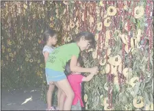  ??  ?? Toda la familia Antar de Asunción trabajó en el montaje del gran altar de 3.000 chipas, maní, laurel y hoja de coco.