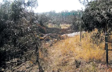  ??  ?? Margaret Tylee captured the mess caused by this massive gum tree that fell across Simpson Rd North on Friday night, blocking the road to through traffic.