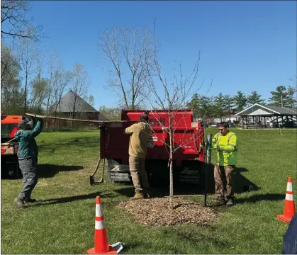  ?? JOHN ELROD — THE MORNING JOURNAL ?? Workers from Oberlin’s Building and Grounds division complete a tree planting ceremony in honor of Arbor Day at the Undergroun­d Railroad Park April 22.