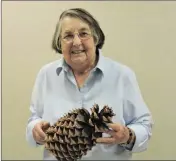  ?? PHOTO BY KAREN BOWEN ?? SHARON JESSUP, PECAN Grove Garden Club member, holds a Coulter pine cone during her program “Seeds and Nuts From Around the World.” Garden club programs cover a wide variety of horticultu­ral topics.