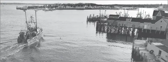  ?? AP PHOTO ?? A fishing trawler passes Gosman’s Dock as it enters the inlet to bring its catch to another commercial dock on Lake Montauk in Montauk, N.Y.