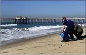  ?? AMY TAXIN — THE ASSOCIATED PRESS ?? Officials release birds at the Huntington Beach shore on Wednesday after they were treated for being in oil.