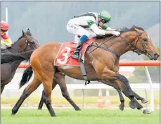  ?? Photo / Race Images ?? Not An Option wins the Gr.2 Wakefield Stakes (1100m) at Trentham.