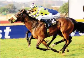  ??  ?? Following an unlucky defeat, Johan Janse van Vuuren-trained Mighty High reunites with Gavin Lerena and is expected to win the Listed Swallow Stakes.