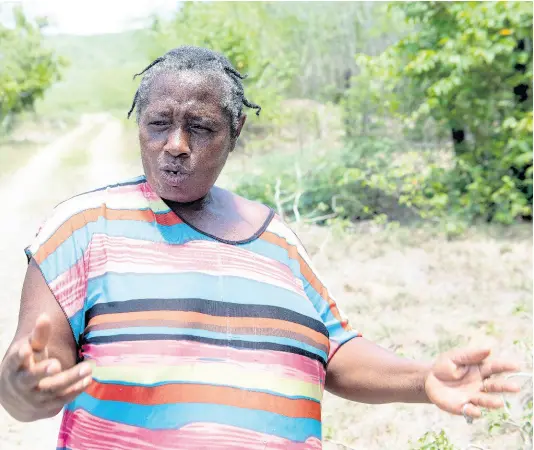  ?? GLADSTONE TAYLOR/MULTIMEDIA PHOTO EDITOR ?? Traditiona­lly a People’s National Party supporter, Rose Watkin, who in Landlease, Clarendon, will be breaking ranks with her partner and voting for the Jamaica Labour Party on September 3. Among her concerns is the lack of developmen­t in the area.