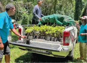  ?? ?? The Ministry of Forestry delivering tree seedlings to the National Park for the new project.