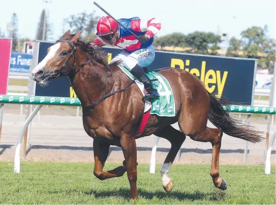  ?? Picture: RICHARD GOSLING ?? Daniel Griffin on board Amenzel at Gold Coast Turf Club on Saturday, one of our winners for the champion jockey.