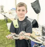  ??  ?? One youngster gets up close and personal with a snake