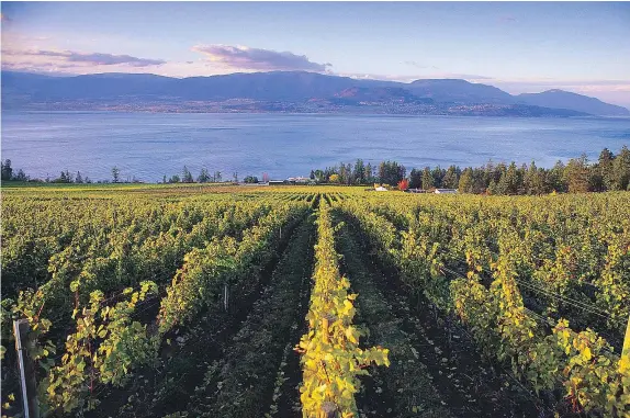  ?? — BRIAN SPROUT/TOURISM BC FILES ?? B.C. wineries, like this one on Okanagan Lake, will miss out on opportunit­ies to ship their products directly to other provinces thanks to Thursday’s Supreme Court of Canada ruling, says the British Columbia Wine Institute’s executive officer.