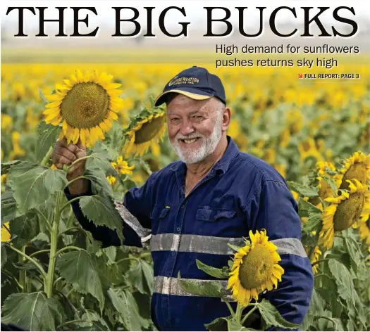  ?? PHOTO: KEVIN FARMER ?? TOP CROP: Kevin Charleswor­th says with a little extra research, farmers could be raking in the cash with sunflowers.