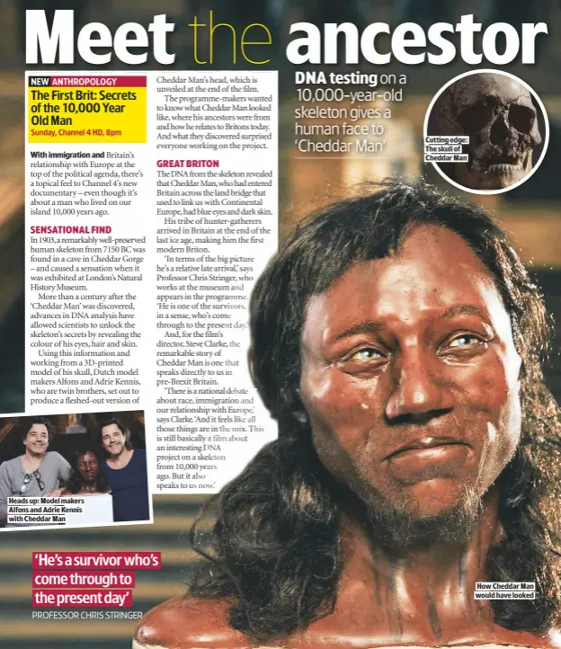 Meet Cheddar Man: First Modern Britons Had Dark Skin And Blue Eyes