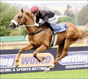  ?? Looks well weighted to win Race 6 at Turffontei­n today. ?? IMPRESSIVE. Noah From Goa looks well above average and despite some tough opposition