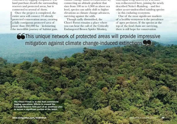  ??  ?? The Chocó Forest is at risk from commercial logging operations. Efforts to expand the Canandé Reserve form part of an ambitious plan to secure a significan­t portion of the forest.