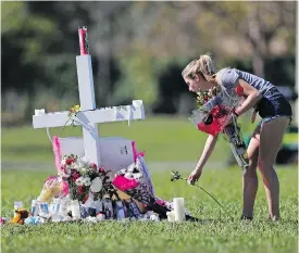  ?? GERALD HERBERT / THE ASSOCIATED PRESS ?? A woman places flowers Friday at one of 17 crosses placed for the victims of the shooting at Marjory Stoneman Douglas High School in Florida.