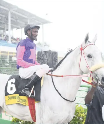  ??  ?? MARVELLOUS MARVA (Oneil Mullings) in the winners’ enclosure after her impressive victory in the Gladiator Trophy on December 30.