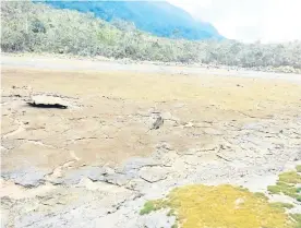  ?? Foto: Cortesía ?? La Laguna Agua Negra en el municipio de Ragonvalia permanece seca por la presencia del fenómeno de El Niño/