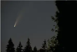  ?? AP Photo/Ted S. Warren ?? ■ The Comet Neowise is seen in the night sky above several trees Wednesday in Olympia, Wash. The comet is expected to be visible from earth most of the rest of the month before continuing on its nearly 7,000-year orbit around the sun.