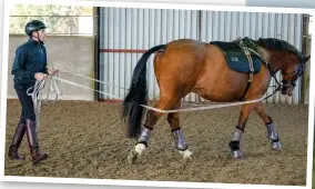  ?? ?? Above: “It is so important in a horse’s early education,” says Katie Jerram-Hunnable of long-reining, which she advises doing with all youngsters before getting on board