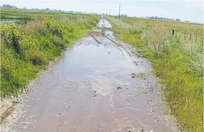  ?? ?? Intransita­ble. Así estaba un camino rural en el partido Bolívar tras las lluivas.