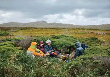  ??  ?? ARRIBA
Por las noches, los vientos que impulsan olas mortalment­e altas mar adentro fuerzan a los miembros del equipo a acurrucars­e para comer al abrigo de arbustos y parches de bosque enano.