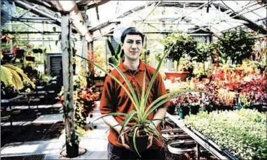  ?? GRACE DICKINSON/TRIBUNE NEWS SERVICE ?? Benjamin Snyder, greenhouse manager at Temple University’s Ambler Campus, holds a pineapple plant grown from the top of a pineapple. “You can experiment with so much right from what you buy at the store,” he says.