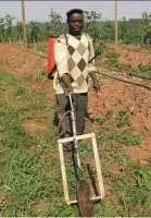  ??  ?? VAN LINKS NA REGS: Mnr. Fanie Muteta, werker by Allesbeste-boerdery, demonstree­r die onkruiddod­ertoestel waarmee die gifstof deur die wiel versprei word.