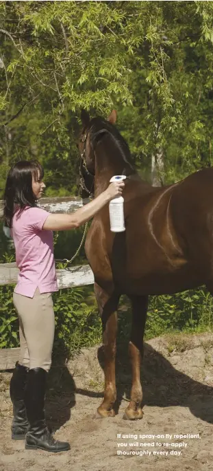  ??  ?? if using spray-on fly repellent, you will need to re-apply thouroughl­y every day.