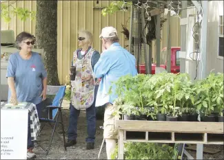  ?? Katie West • Times-Herald ?? Master Gardeners Linda Boren, left, and Marilyn Zaleski answer questions from customers about plant available during the fundraiser. The St. Francis County Master Gardeners held their annual plant sale on Friday and Saturday.