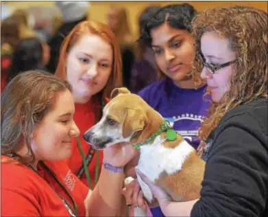  ?? PETE BANNAN – DIGITAL FIRST MEDIA ?? West Chester University Honors Students Associatio­n’s Aria Swanson, Danielle Gendler and Archie Chungapall­y with Brandywine Valley SPCA Kristen Szwast, community engagement coordinato­r, hold one of the puppies up for adoption at Brandywine Valley SPCA.