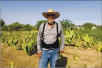  ??  ?? Spaces of Opportunit­y garden coordinato­r and farmer Bruce Babcock stands in front of an array of cactuses on Tuesday, Oct. 17, from one of a handful of family farms to be sold at the weekly farmers market. Babcock works with volunteer growers and food enthusiast­s to provide enough freshly grown produce every week for hundreds of low-income Phoenix residents without access to much nutritiona­l food.