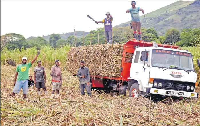  ?? Picture: FILE/REINAL CHAND ?? Canecutter­s in Balata Tavua last year.