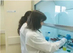  ?? (Courtesy) ?? STAFF EXAMINE environmen­tal tobacco smoke in the Health Ministry’s new biological monitoring laboratory.