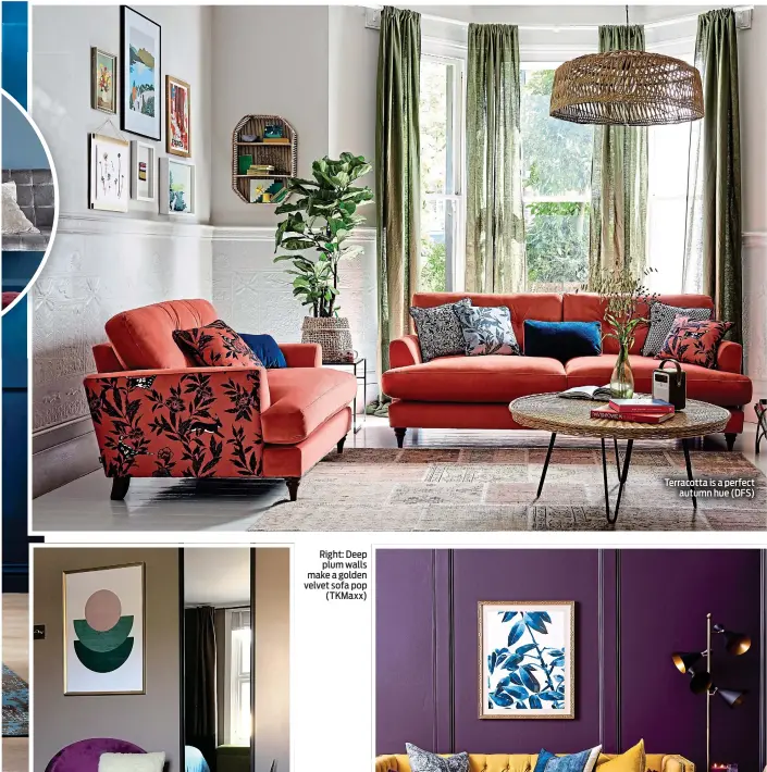  ??  ?? Right: Deep plum walls make a golden velvet sofa pop (TKMaxx)
Terracotta is a perfect autumn hue (DFS)