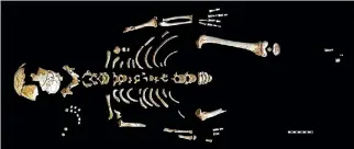  ?? PHOTO: PALEOANTHR­OPOLOGY GROUP MNCN-CSIC ?? The skeleton of the Neandertha­l boy recovered from the El Sidron cave in Spain.