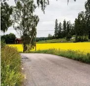  ?? Bild: CHRISTINE OLSSON ?? BILDEN. En väg genom ett vackert landskap är enbart en bild av landsbygde­n, men det är en vanlig bild av av landsbygde­n.