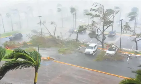  ?? HECTOR RETAMAL, AFP/GETTY IMAGES ?? Hurricane Maria brought 150-mph winds to Puerto Rico, toppling trees near a coliseum in San Juan.