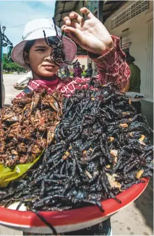  ??  ?? Street food on offer in Cambodia can include large black spiders and locusts