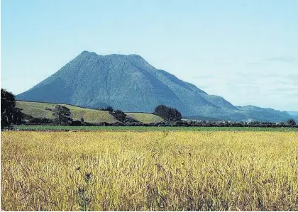  ?? ?? The Kawerau King of the Mountain race is an approximat­ely 7km up and down return trip of Mount Pu¯ tauaki.