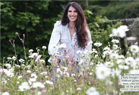  ?? PHOTOS: LORCAN DOHERTY ?? Blooming lovely: Kathy Donaghy in the wildflower garden; inset, below, a bee comes to visit the garden.