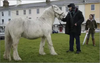  ??  ?? Gus Culleton and Clare Bonadio keep the horse calm while they wait for the Garda Equine Division.