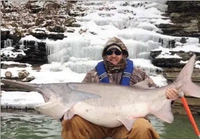  ?? PHOTOS COURTESY OF THE ARKANSAS GAME AND FISH COMMISSION ?? Jesse Wilkes of Springdale landed this 105-pound paddlefish in Beaver Lake in 2015. It’s one of the newest and largest record fish in the book.