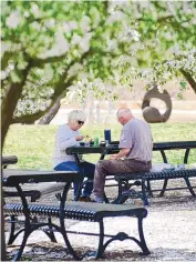  ?? ADOLPHE PIERRE-LOUIS/JOURNAL ?? Debbie and Mike Pogue enjoy lunch Monday under a canopy of blooming trees at Tiguex Park in Old Town.