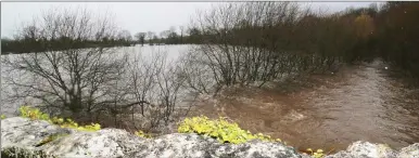  ??  ?? LEFT: Raging waters near Ballymaqui­rk on Tuesday afternoon. Photo by Sheila Fitzgerald