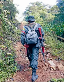  ?? FOTO DONALDO ZULUAGA ?? El juicio contra los 179 guerriller­os de las Farc en Justicia y Paz inició ayer ante el Tribunal de Bogotá.