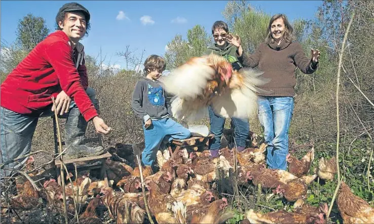  ?? INMA SÁINZ DE BARANDA ?? Las gallinas de la granja Els Gallarets comen cereales ecológicos al son de música clásica. Una de sus madrinas es Eva Lara