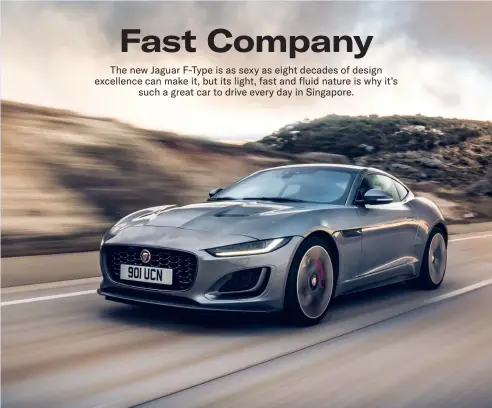  ??  ?? The F-Type is the pinnacle of Jaguar’s pursuits: engineerin­g excellence, heritage and power.