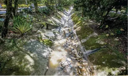  ?? FOTO ?? En el corredor de la quebrada La Guayabala se ha logrado constituir un espacio verde que ya la comunidad empieza a disfrutar. Vecinos piden acompañami­ento y control.