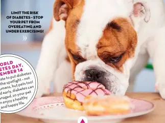  ??  ?? limit the risk of diabetes – STOP YOUR PET FROM OVEREATING and under exercising!